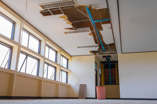 Trusted LA Water damage restoration Experts