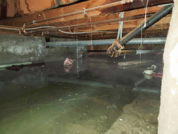 Best Flooded house restoration  in Kinder, LA