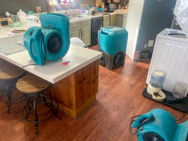 Best Carpet water damage restoration  in Kinder, LA