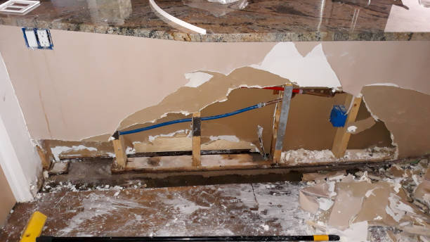 Best Professional water damage repair  in Kinder, LA